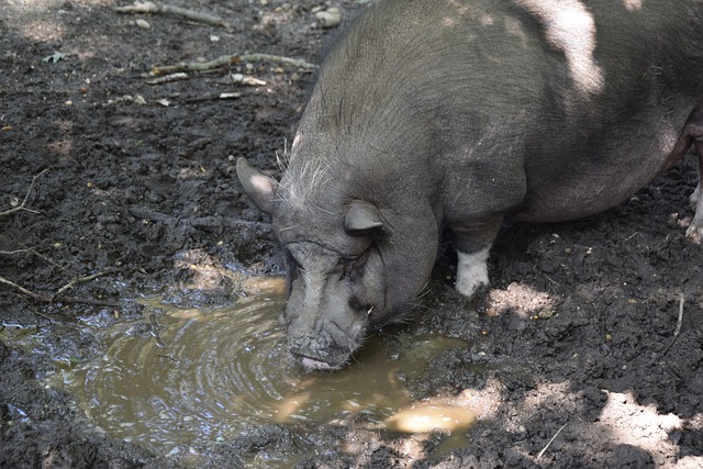 有时候结果 有时候结果
