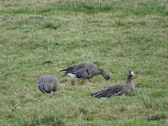 的精彩瞬間 的精彩瞬間