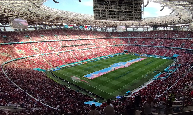 部分专家指 部分专家指