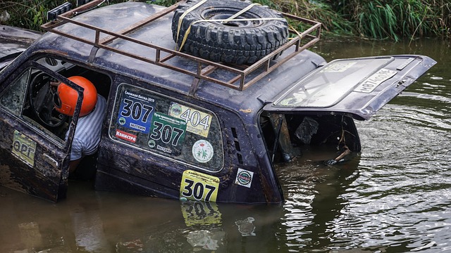 的坚韧不拔 的坚韧不拔