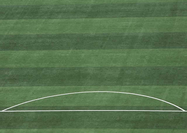 个人权利的 个人权利的