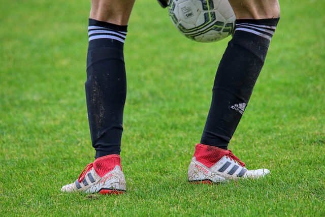 在球队解散 在球队解散